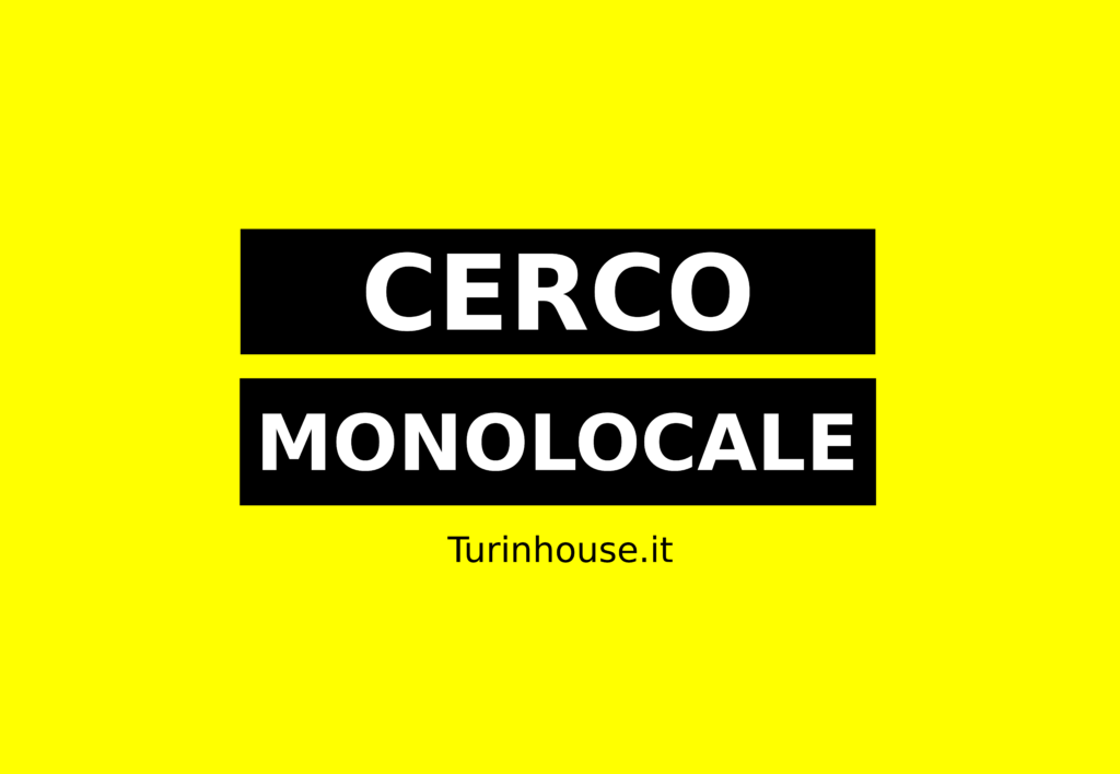 Cerco monolocale a Torino