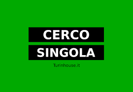 Cerco Stanza Singola o Monolocale a Torino per lavoro in smart working